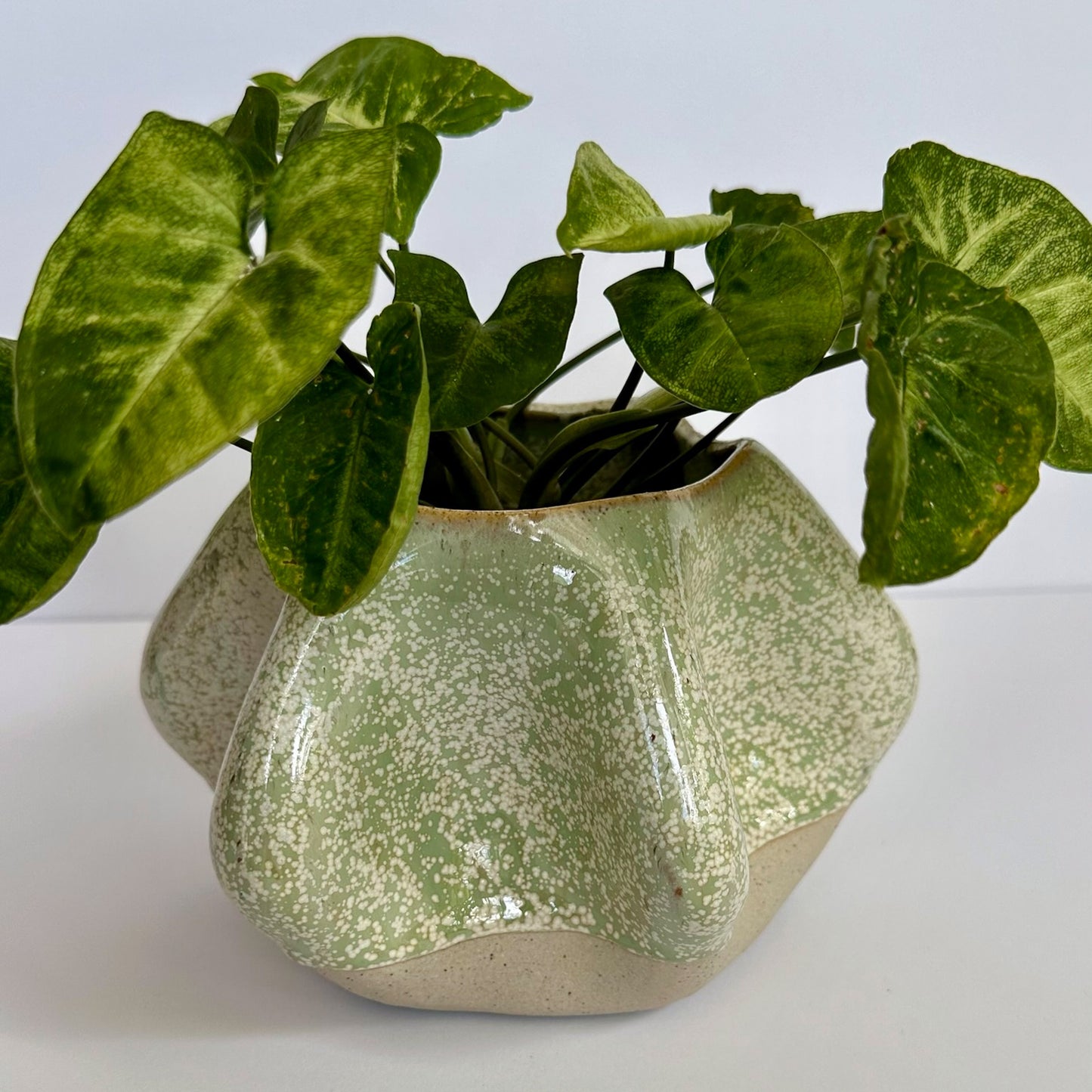Pinched Sided Planter Pot - Mint Green