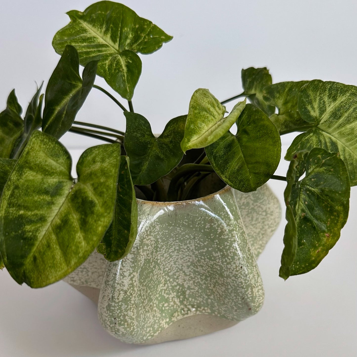 Hexagon Sided Planter Pot - Mint Green