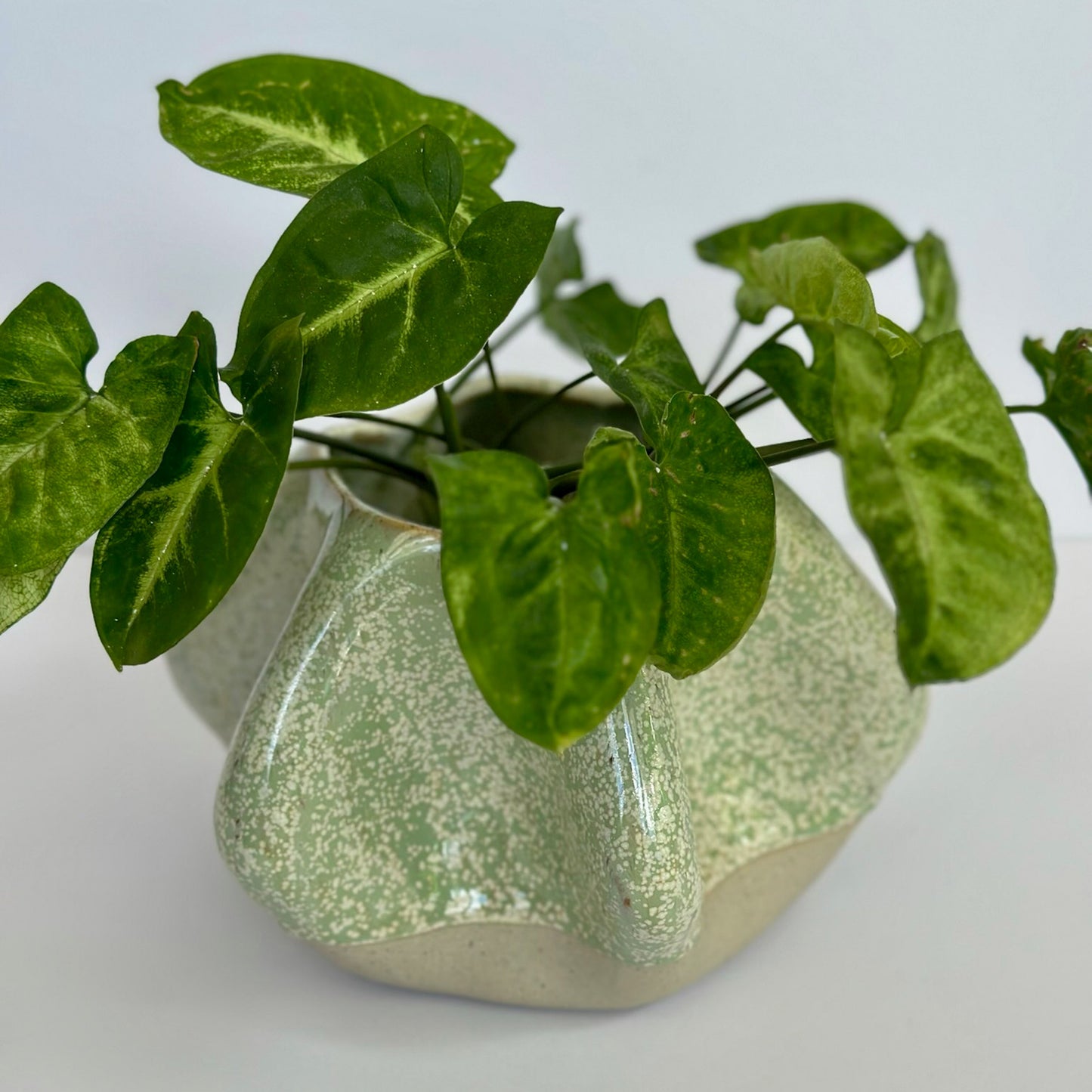 Pinched Sided Planter Pot - Speckled Green