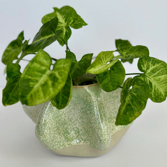 Pinched Sided Planter Pot - Mint Green